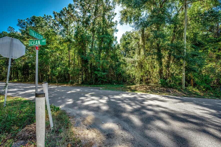 Primary Photo Of Ocean Highway Hwy @ Trace Rd., Pawleys Island Land For Sale