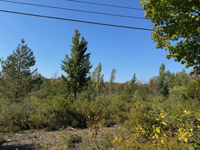 Primary Photo Of TBD Townline rd, Ephraim Land For Sale