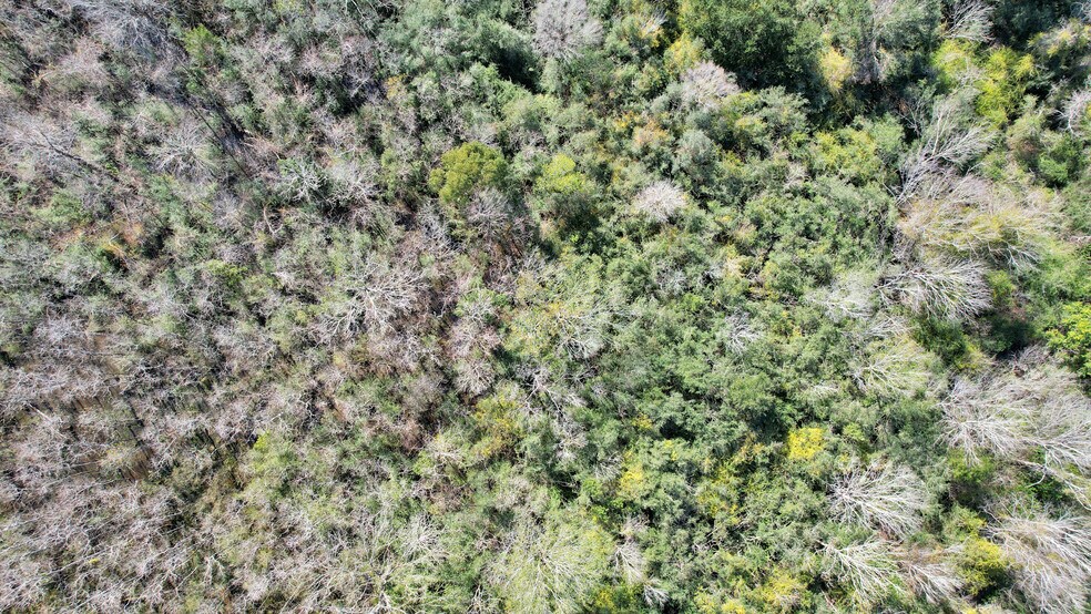 More Photos Of 10 FM 2403, Alvin Land For Sale