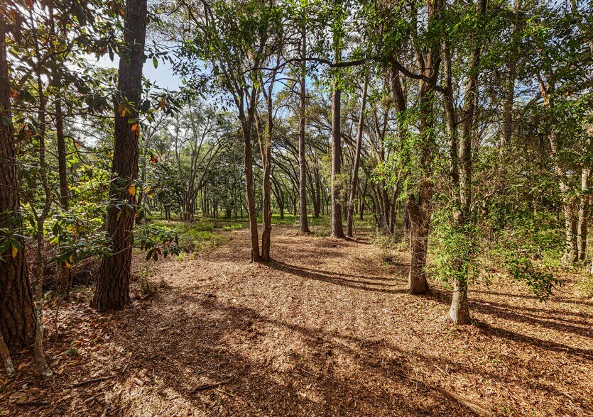More Photos Of 0 King Rail Lane, Edisto Island Land For Sale