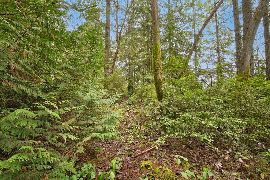 More Photos Of 00 Dickey Rd, Silverdale Land For Sale