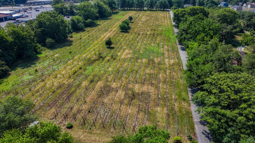 More Photos Of 1683 Peach Basket Rd, Felton Winery Vineyard For Sale