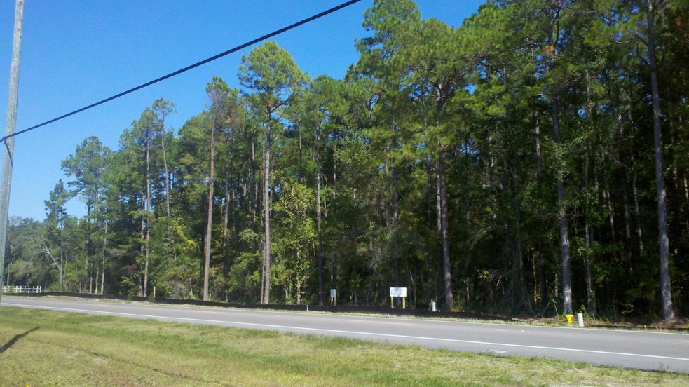 Primary Photo Of US Hwy 331 S, Freeport Land For Sale