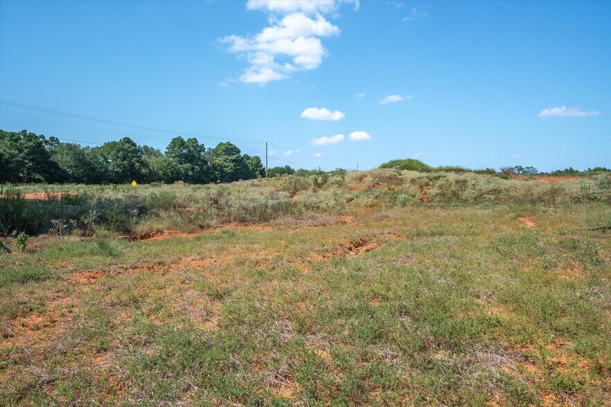 More Photos Of 18021 State Highway 155 S hwy, Flint Land For Sale