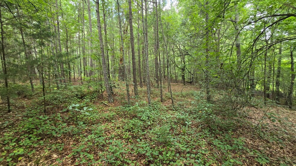More Photos Of 5171 Ga Highway 138, Loganville Land For Sale