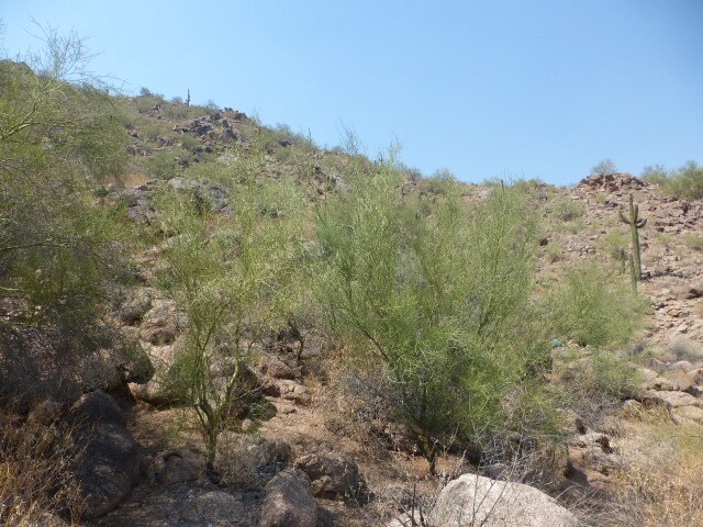 More Photos Of 6010 E Cholla Ln, Paradise Valley Land For Sale