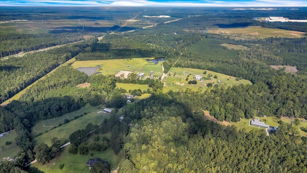 More Photos Of 1075 Osteen Rd, Bloomingdale Land For Sale