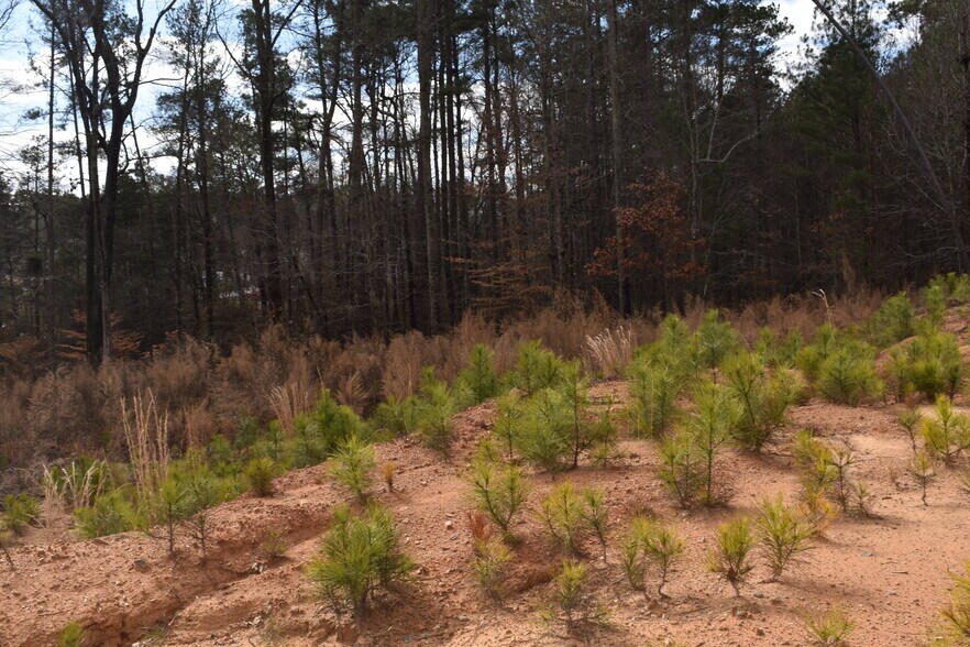 More Photos Of 3079 Lenora Church Rd, Snellville Land For Sale