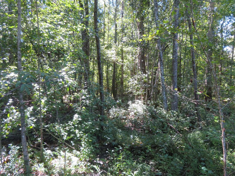 More Photos Of Xxxx Greensboro Hwy, Gretna Land For Sale