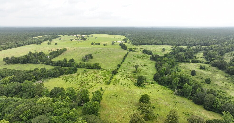 More Photos Of 44 Bucking Bull Rd, New Waverly Land For Sale