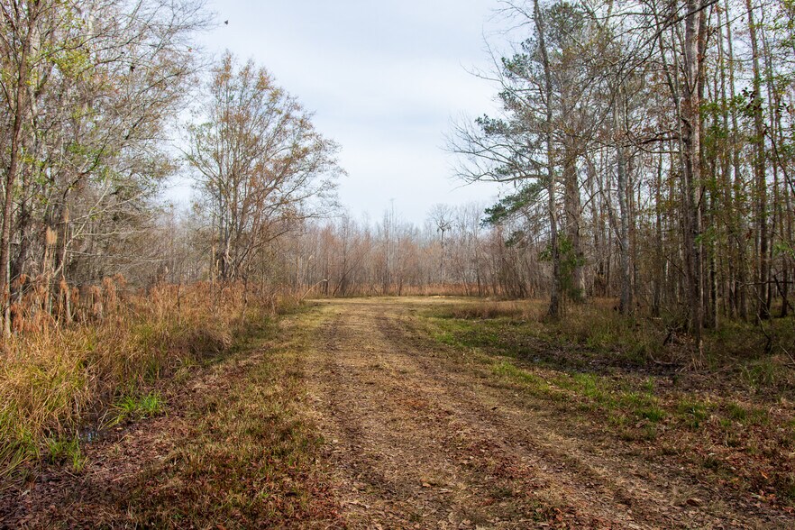 More Photos Of 409 Windward Ave, Orangeburg Land For Sale