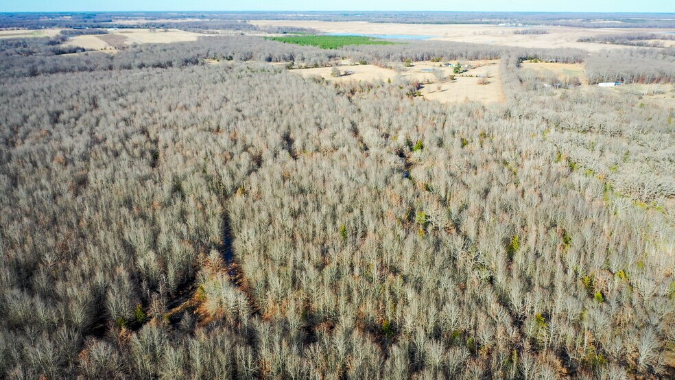 More Photos Of 1200 County 1255 rd, Detroit Land For Sale