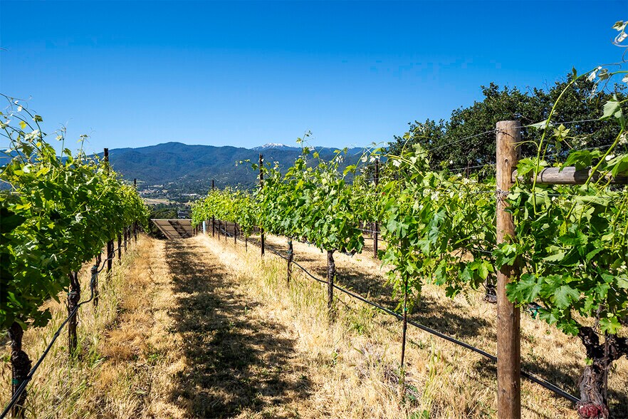 More Photos Of 786 Pompadour Dr, Ashland Land For Sale