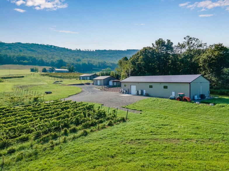 More Photos Of 596 Harman Rd, Halifax Winery Vineyard For Sale