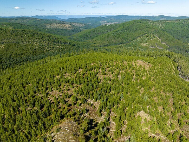 More Photos Of Nhn Logan Creek Road, Kila Land For Sale