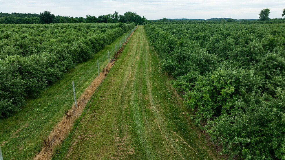 More Photos Of 6258 Hill rd, Sodus Land For Sale