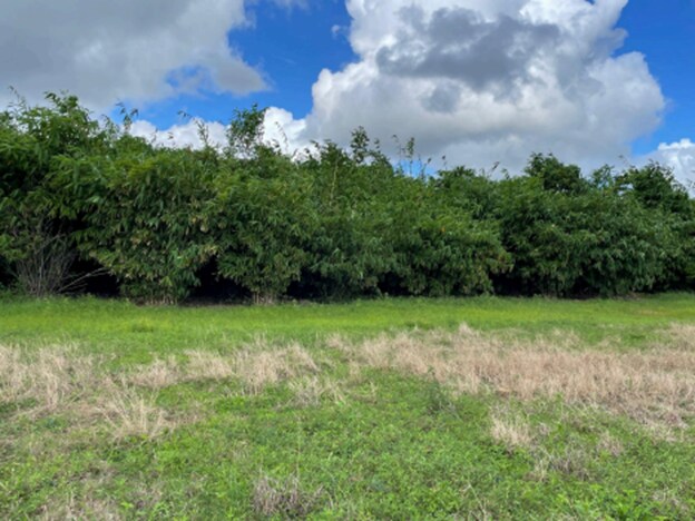More Photos Of 1448 Broadus Williams Rd, Zolfo Springs Land For Sale