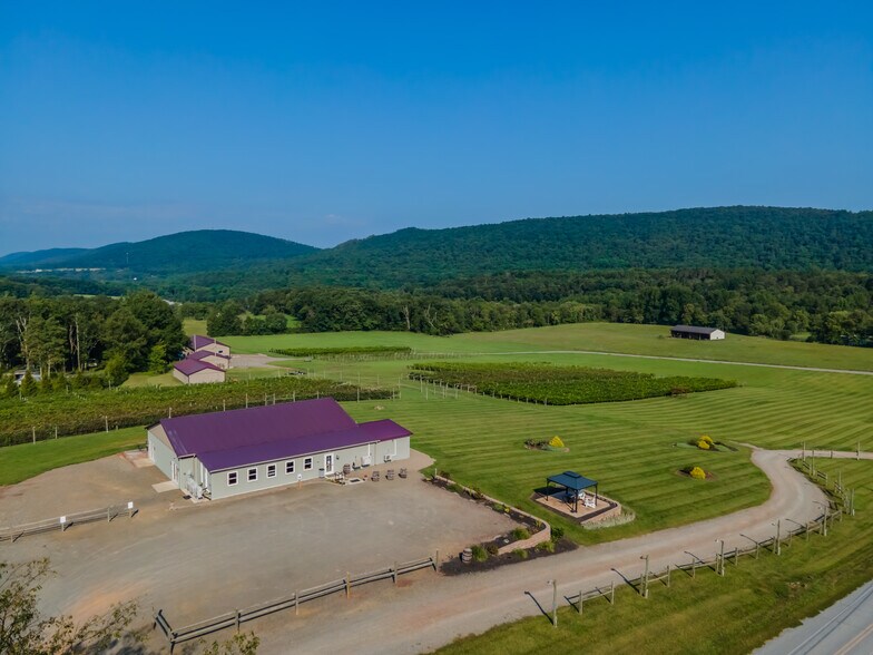 More Photos Of 596 Harman Rd, Halifax Winery Vineyard For Sale