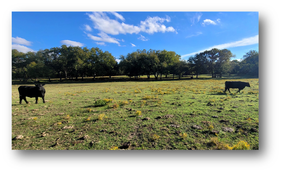 More Photos Of 8601 Lowery Rd, Fort Worth Land For Sale