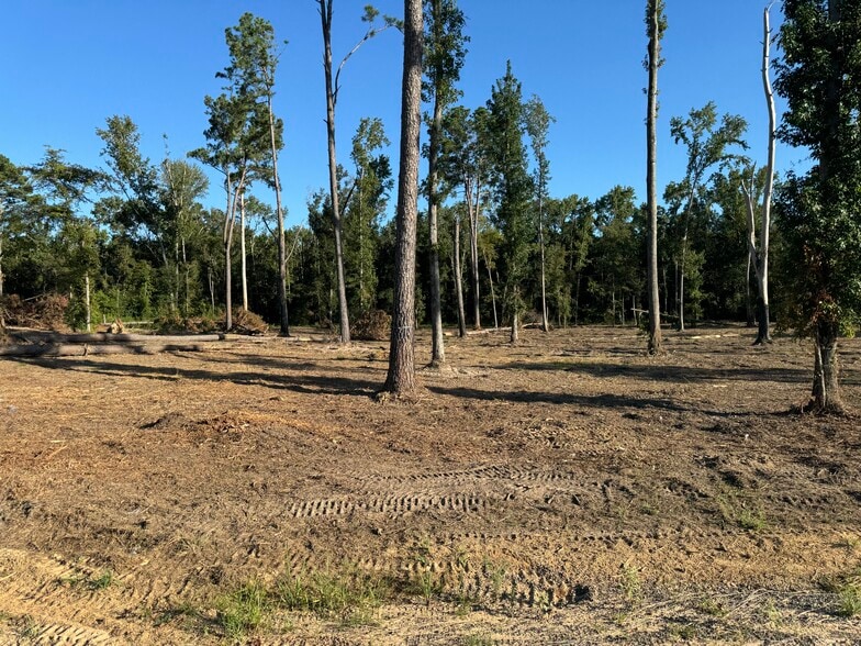 More Photos Of 16393 Highway 31, Tyler Land For Sale