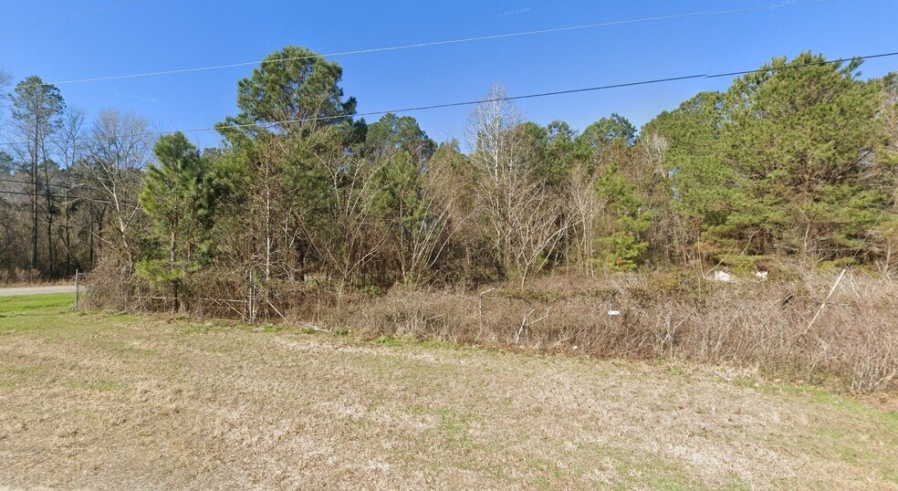 More Photos Of 7177 Caswell Ln, Holly Hill Land For Sale