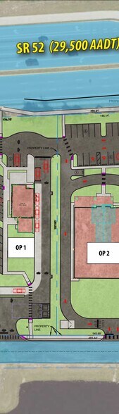 More Photos Of SEC SR 52 & Silver Palm Blvd, Land O' Lakes Land For Lease
