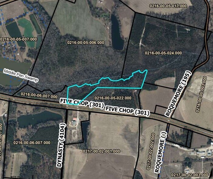 Primary Photo Of 00 Five Chop Road, Orangeburg Land For Sale