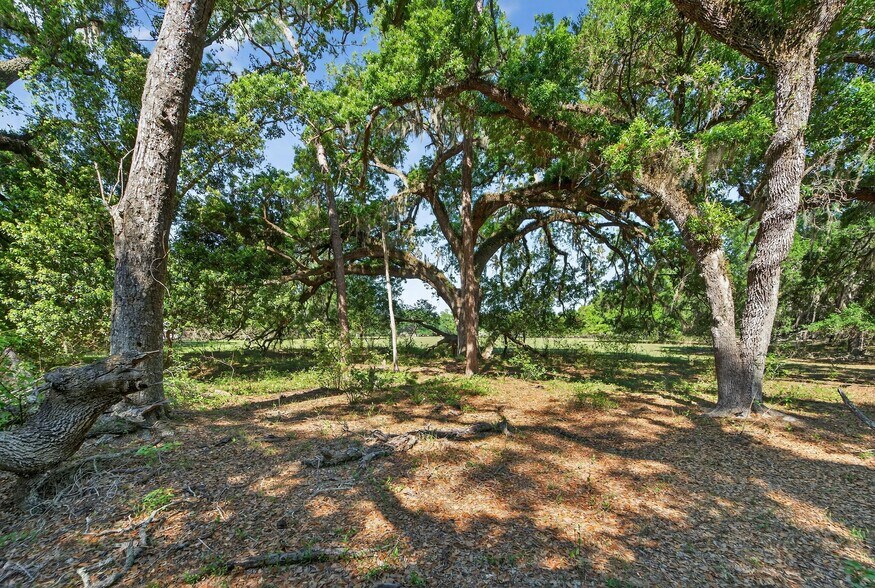 More Photos Of Carlton Rd, Plant City Land For Sale