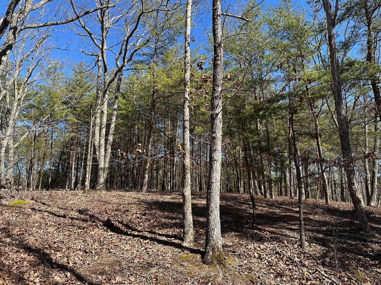 More Photos Of 3472 Prior Station Rd, Cedartown Land For Sale
