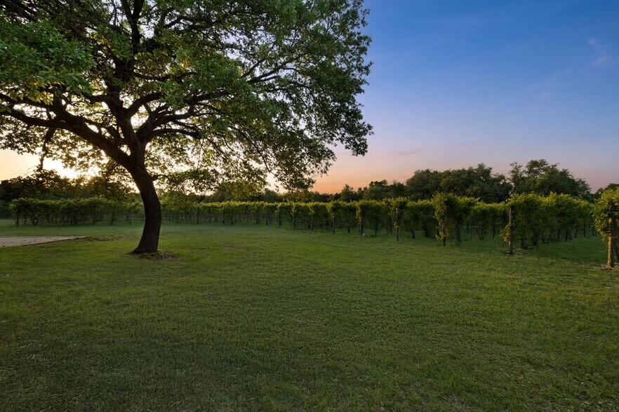 More Photos Of 18059A Ranch to Market Road 1826, Driftwood Winery Vineyard For Sale