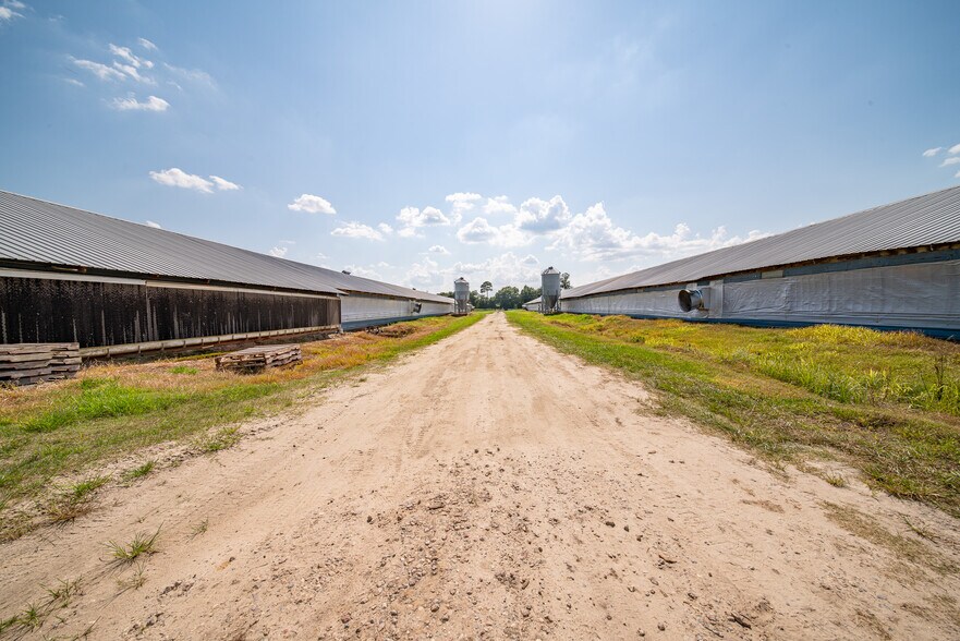 More Photos Of 1291 Myron Hart Rd, Coolidge Land For Sale