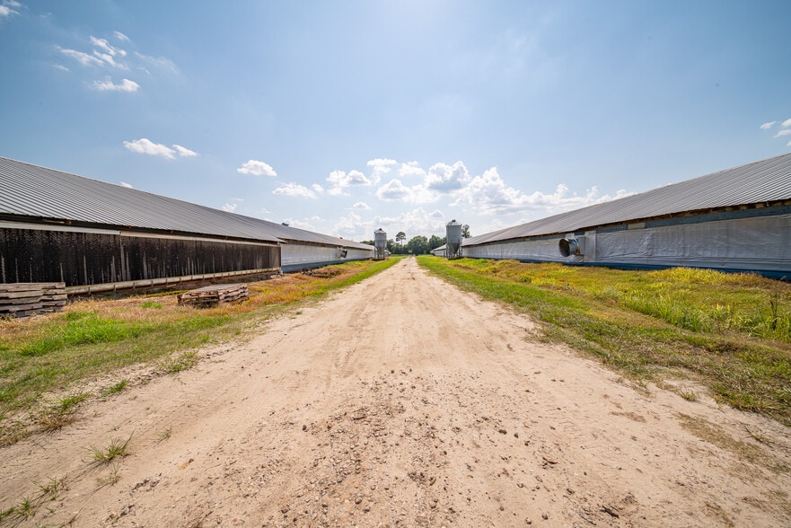 More Photos Of 1291 Myron Hart Rd, Coolidge Land For Sale