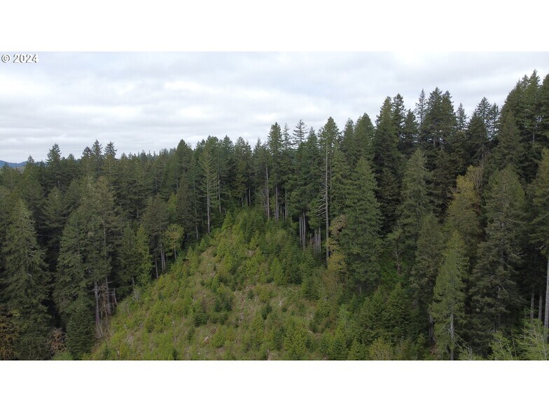 More Photos Of 18-10-00-00-01300500, Mapleton Land For Sale