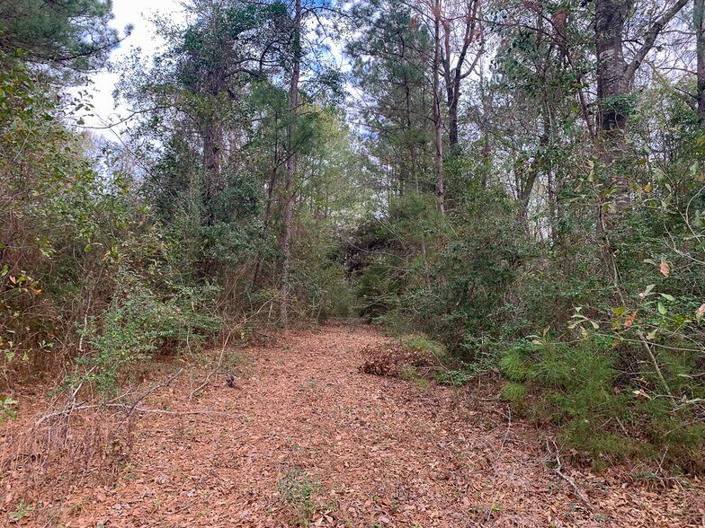 More Photos Of Highway 190, Huntsville Land For Sale