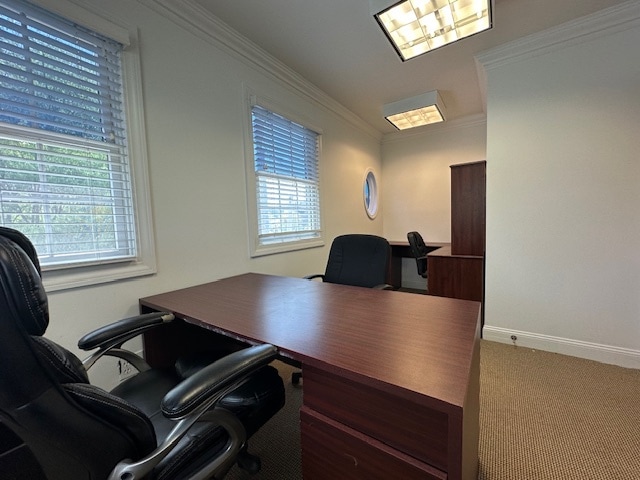 More Photos Of 98 Front St, Mineola Office For Lease