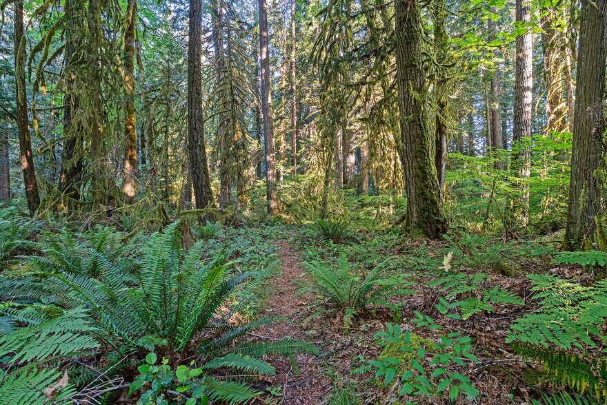 More Photos Of 1052 E Mason Lake Dr W, Grapeview Land For Sale