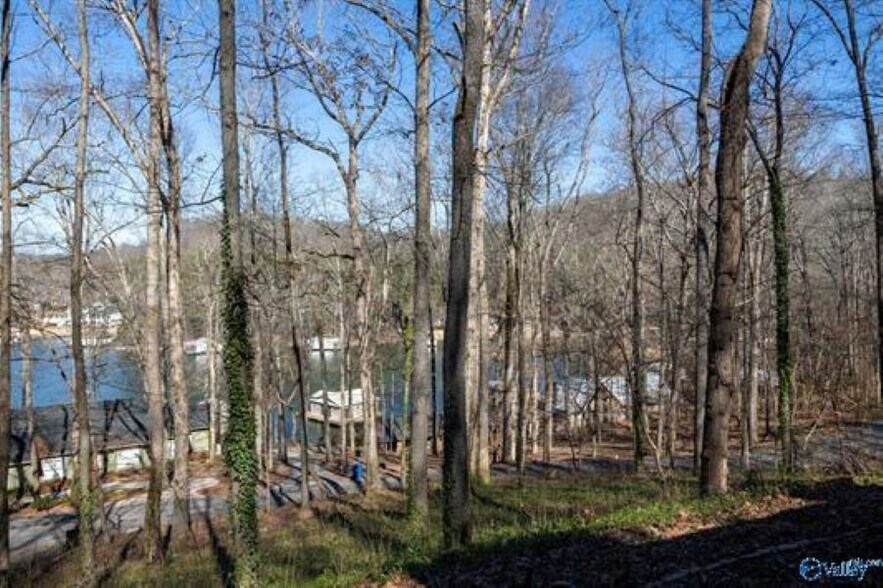 More Photos Of 3414 Wyeth Drive Dr, Guntersville Hospitality For Sale