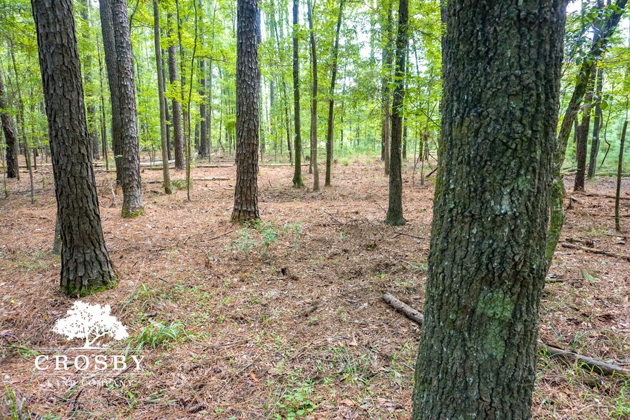 More Photos Of 3009 Lowcountry Drive, Ridgeland Land For Sale