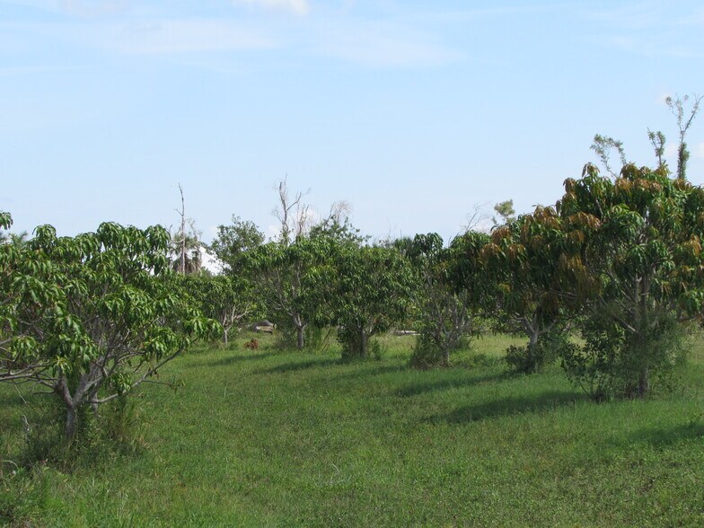 More Photos Of 9000 Stringfellow Rd, Saint James City Land For Sale