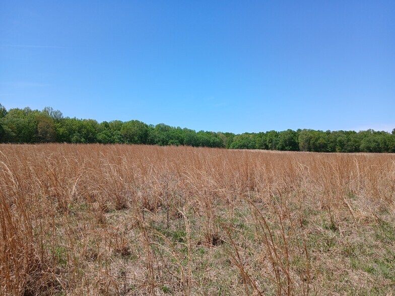 More Photos Of 414000 E 1920 Rd, Antlers Land For Sale