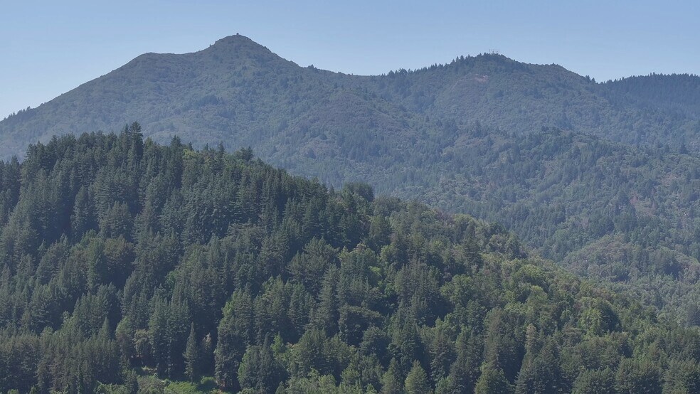 More Photos Of 128 Greenfield Ave, San Anselmo Freestanding For Lease