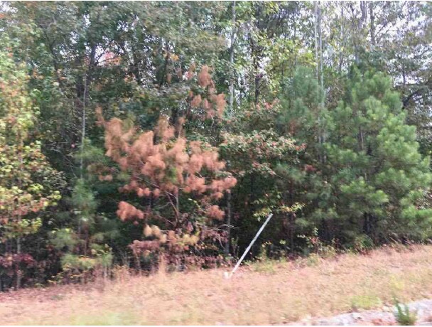 More Photos Of Mill Run @ Mill Pond Way, Bremen Land For Sale