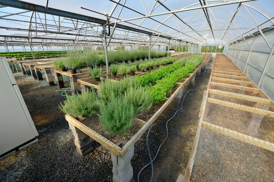 More Photos Of 39501 Meadowlark Dr, Hamilton Land For Sale