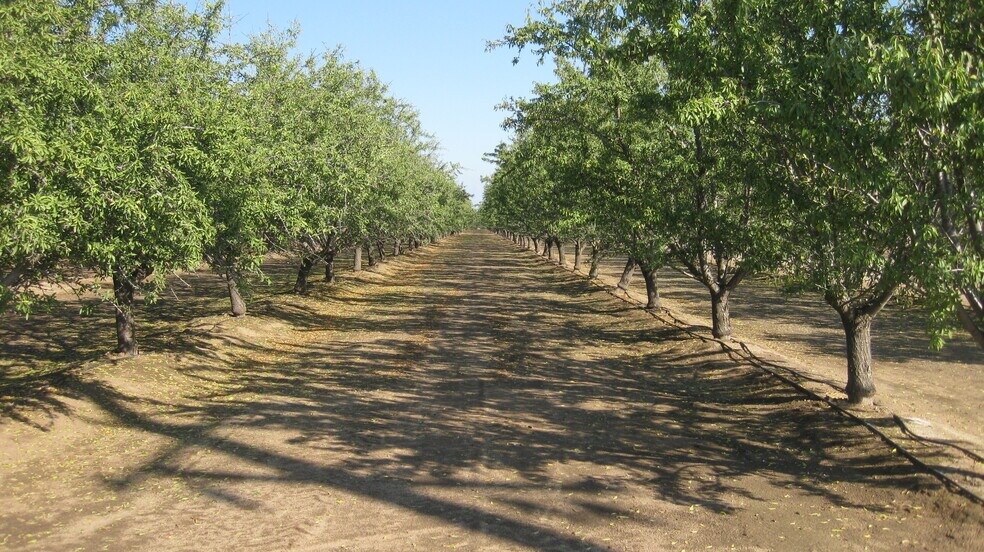 Primary Photo Of 2524 N McCall Ave, Sanger Land For Sale