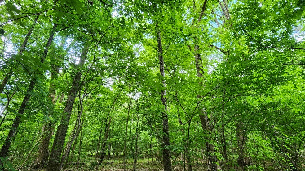 More Photos Of Near 5370 Deerfoot Parkway Pky, Trussville Land For Sale