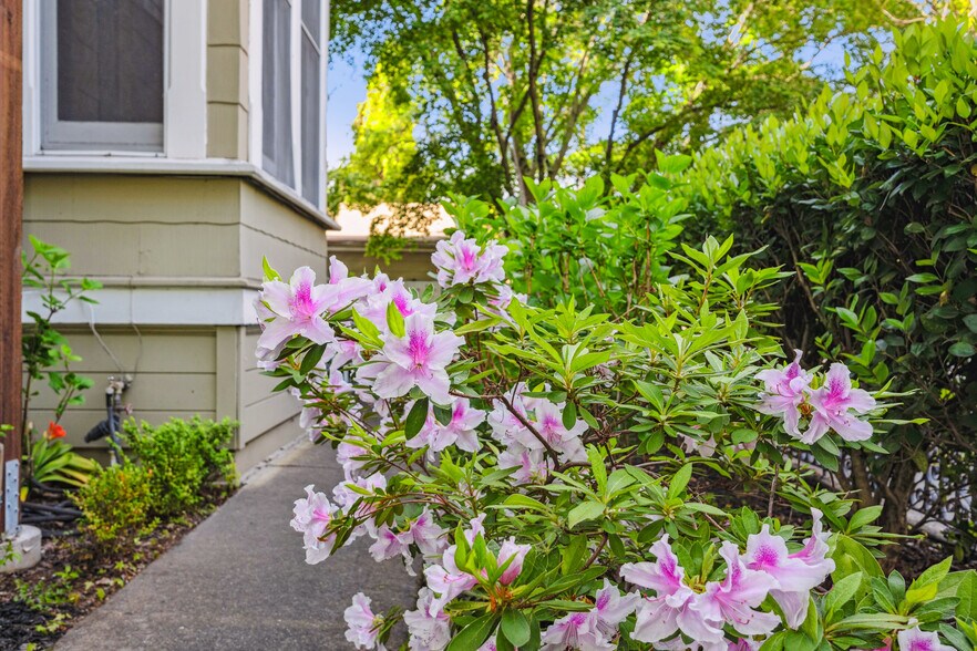 More Photos Of 1645 Main St, Napa Apartments For Sale