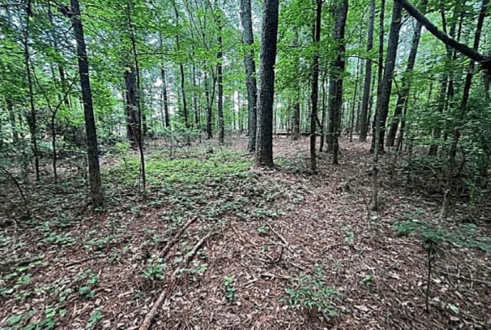 More Photos Of Jimmie Mayfield Blvd Fayetteville, GA 30215 United States, Fayetteville Land For Sale