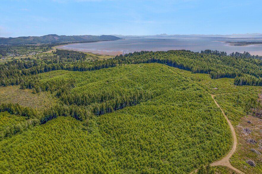 More Photos Of 1000 Williams St, Ilwaco Land For Sale