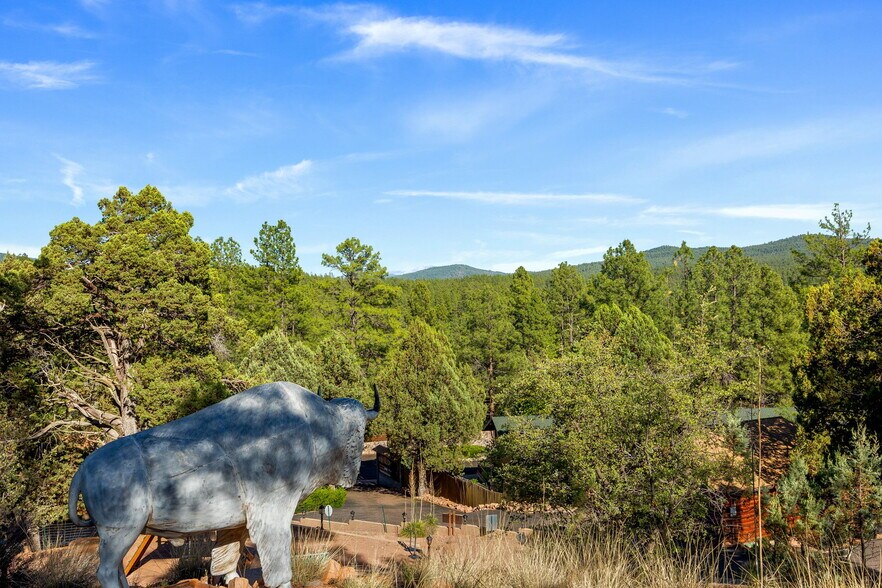 More Photos Of 1022 S Hunter Creek Dr, Payson Hotel For Sale