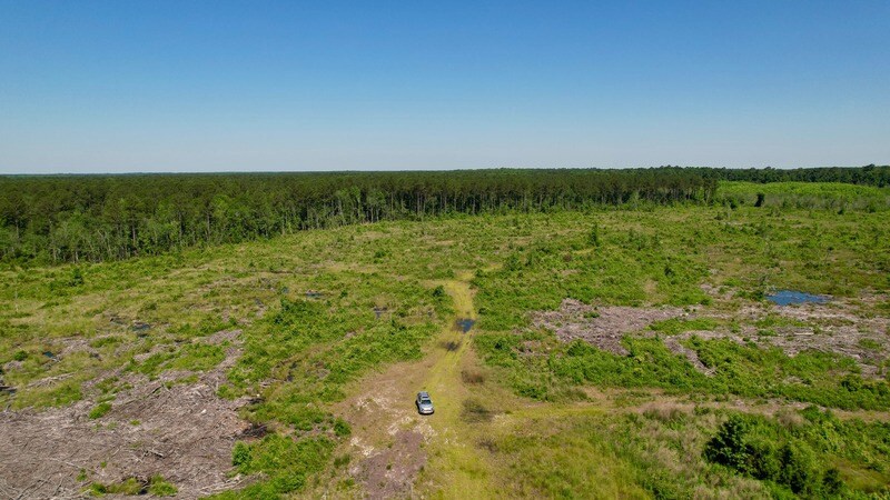 More Photos Of , Reevesville Land For Sale